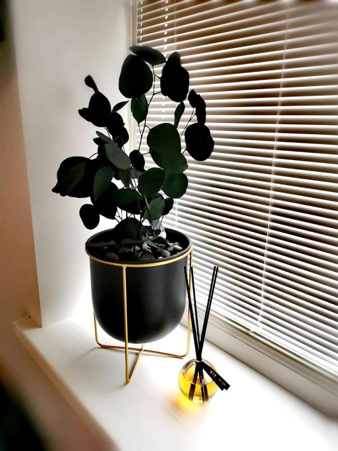 Vyturiai - Nauju Apartamentu Nuoma Sventojoje Šventoji Екстериор снимка